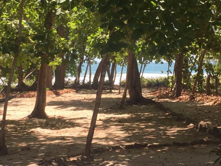 34da9514-5134-4457-894d-3d9e5a864659