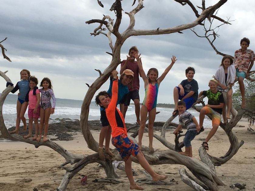 23681d36-e62d-4fa3-a8ab-011f5cc999d4